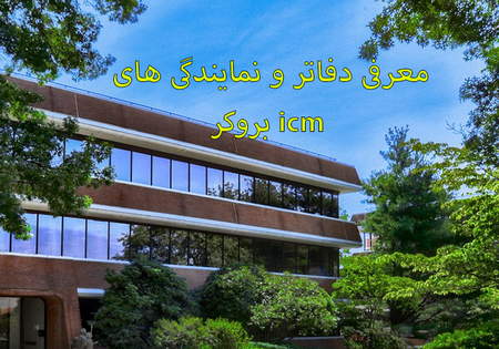 عملکرد فارکس